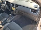 Skoda Octavia bei Gebrauchtwagen.expert - Abbildung (9 / 15) Skoda Octavia bei Gebrauchtwagen.expert - Abbildung (9 / 15)