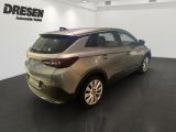 Opel Grandland X bei Gebrauchtwagen.expert - Abbildung (3 / 15)