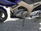 Yamaha TDM 900 bei Gebrauchtwagen.expert - Abbildung (13 / 15)