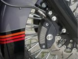 Harley-Davidson Road King bei Gebrauchtwagen.expert - Abbildung (5 / 15)