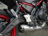 Kawasaki Z 650 bei Gebrauchtwagen.expert - Abbildung (7 / 15)