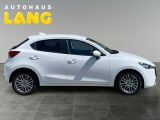 Mazda 2 bei Gebrauchtwagen.expert - Abbildung (6 / 15)