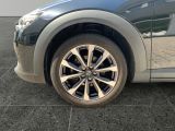 Mazda CX-3 bei Gebrauchtwagen.expert - Abbildung (14 / 15)