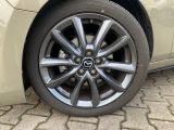 Mazda 3 bei Gebrauchtwagen.expert - Abbildung (6 / 15)
