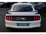 Ford Mustang bei Gebrauchtwagen.expert - Abbildung (5 / 15)