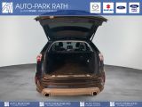 Ford Edge bei Gebrauchtwagen.expert - Abbildung (8 / 15)