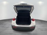 Mazda MX-30 bei Gebrauchtwagen.expert - Abbildung (6 / 15)