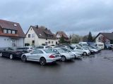 VW Polo bei Gebrauchtwagen.expert - Abbildung (14 / 14)