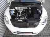 VW Beetle bei Gebrauchtwagen.expert - Abbildung (9 / 10)