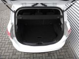 Ford B-MAX bei Gebrauchtwagen.expert - Abbildung (10 / 10)
