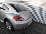 VW Beetle bei Gebrauchtwagen.expert - Abbildung (7 / 10)