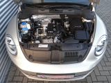 VW Beetle bei Gebrauchtwagen.expert - Abbildung (10 / 10)