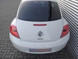 VW New Beetle bei Gebrauchtwagen.expert - Abbildung (7 / 10)