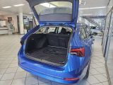 Skoda Octavia bei Gebrauchtwagen.expert - Abbildung (3 / 15)