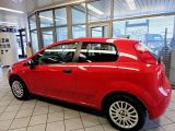 Fiat Punto bei Gebrauchtwagen.expert - Abbildung (14 / 15)