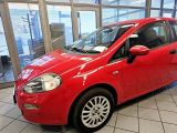 Fiat Punto bei Gebrauchtwagen.expert - Abbildung (15 / 15)