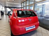 Fiat Punto bei Gebrauchtwagen.expert - Abbildung (5 / 15)