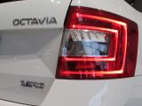 Skoda Octavia RS bei Gebrauchtwagen.expert - Abbildung (7 / 15)