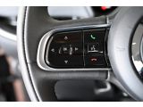 Fiat 500 bei Gebrauchtwagen.expert - Abbildung (14 / 15)