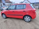 Skoda Fabia bei Gebrauchtwagen.expert - Abbildung (10 / 15)