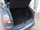 Ford Kuga bei Gebrauchtwagen.expert - Abbildung (11 / 15)