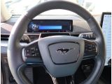 Ford Mustang Mach-E bei Gebrauchtwagen.expert - Abbildung (12 / 15)