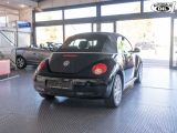 VW New Beetle bei Gebrauchtwagen.expert - Abbildung (4 / 15)