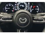 Mazda CX-30 bei Gebrauchtwagen.expert - Abbildung (15 / 15)