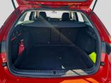 Skoda Octavia bei Gebrauchtwagen.expert - Abbildung (7 / 7) Skoda Octavia bei Gebrauchtwagen.expert - Abbildung (7 / 7)