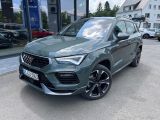 Cupra Ateca bei Gebrauchtwagen.expert - Abbildung (13 / 15)