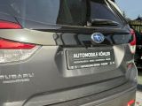 Subaru Forester bei Gebrauchtwagen.expert - Abbildung (6 / 15)