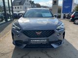 Cupra Formentor bei Gebrauchtwagen.expert - Abbildung (2 / 15)