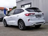 Ford Kuga bei Gebrauchtwagen.expert - Abbildung (3 / 15)
