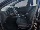 Ford Focus ST bei Gebrauchtwagen.expert - Abbildung (12 / 15)