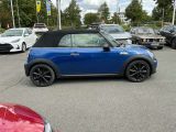 Mini Cooper S Cabrio bei Gebrauchtwagen.expert - Abbildung (5 / 15)