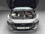 Ford Focus ST bei Gebrauchtwagen.expert - Abbildung (12 / 13)