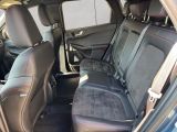 Ford Kuga bei Gebrauchtwagen.expert - Abbildung (12 / 13)