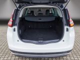 Renault Grand Scenic bei Gebrauchtwagen.expert - Abbildung (7 / 14)