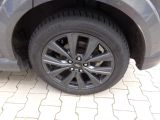 Ford Puma bei Gebrauchtwagen.expert - Abbildung (5 / 15)