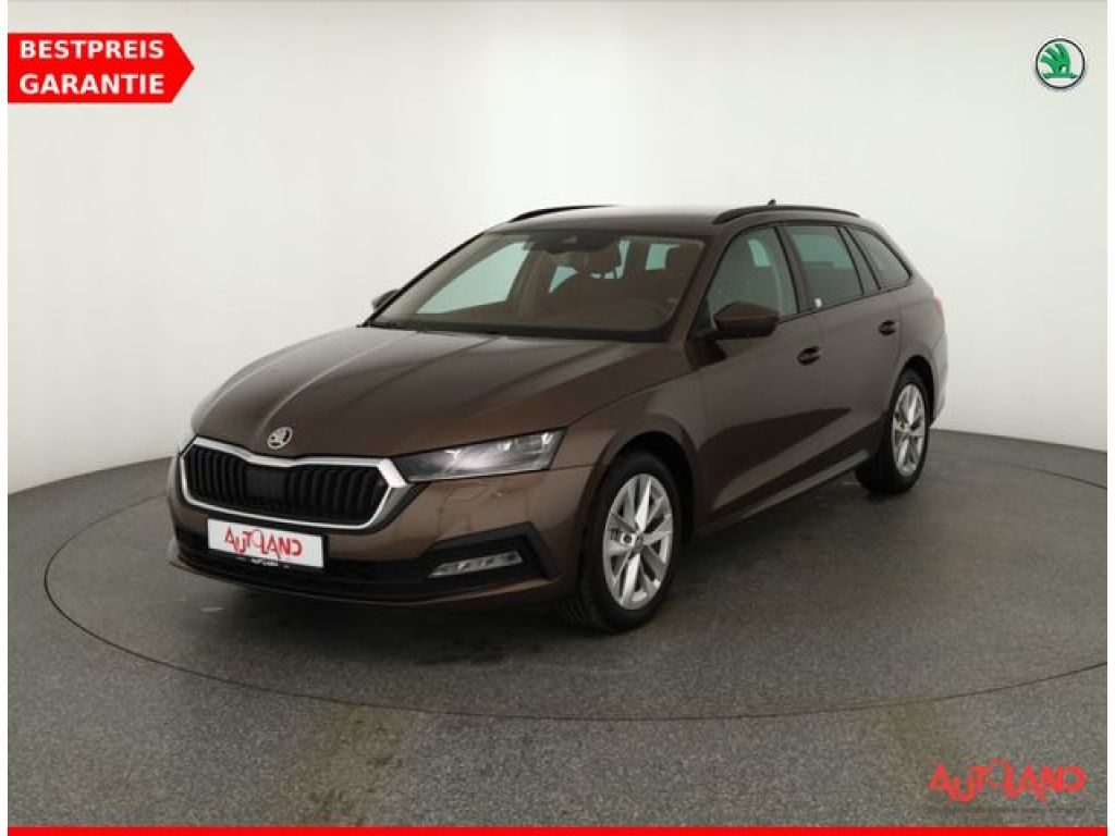 Skoda Octavia bei Gebrauchtwagen.expert - Hauptabbildung Skoda Octavia bei Gebrauchtwagen.expert - Hauptabbildung
