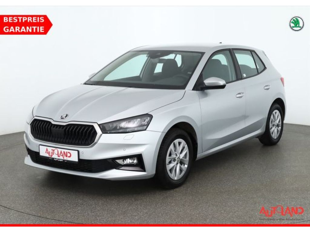 Skoda Fabia bei Gebrauchtwagen.expert - Hauptabbildung Skoda Fabia bei Gebrauchtwagen.expert - Hauptabbildung
