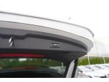 BMW X2 bei Gebrauchtwagen.expert - Abbildung (11 / 15)