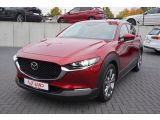 Mazda CX-30 bei Gebrauchtwagen.expert - Abbildung (2 / 15)