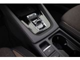 Skoda Octavia bei Gebrauchtwagen.expert - Abbildung (14 / 15)