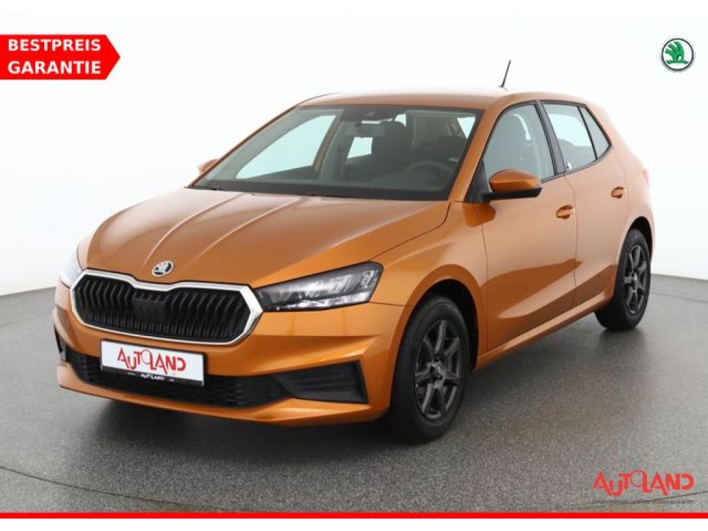 Skoda Fabia bei Gebrauchtwagen.expert - Hauptabbildung Skoda Fabia bei Gebrauchtwagen.expert - Hauptabbildung