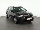 Skoda Kamiq bei Gebrauchtwagen.expert - Abbildung (7 / 15)