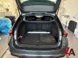 Skoda Octavia bei Gebrauchtwagen.expert - Abbildung (11 / 13)