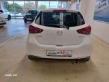 Mazda 2 bei Gebrauchtwagen.expert - Abbildung (6 / 14)