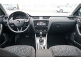 Skoda Octavia bei Gebrauchtwagen.expert - Abbildung (13 / 15)