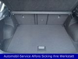 VW T-Roc bei Gebrauchtwagen.expert - Abbildung (9 / 15)